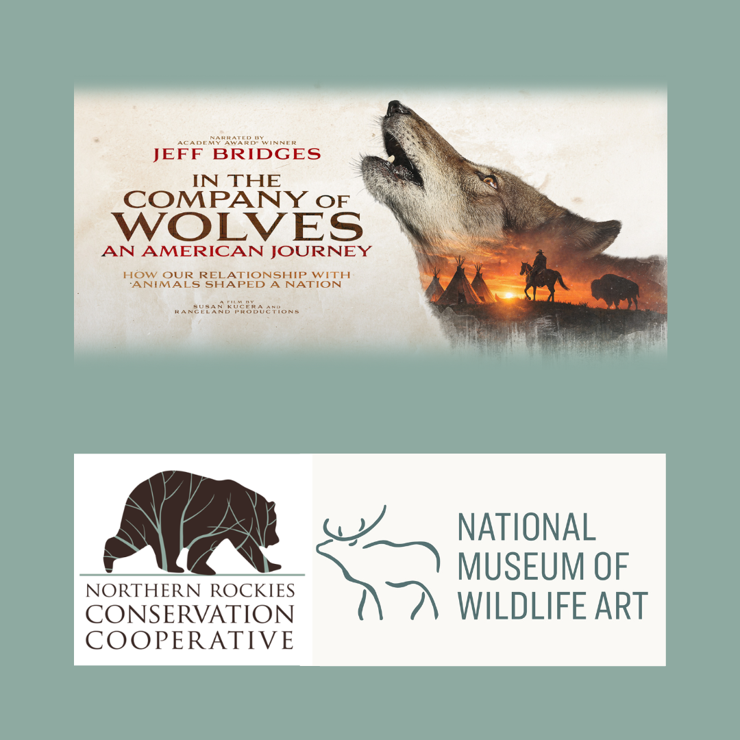In The Company of Wolves film &amp; panel, Jackson