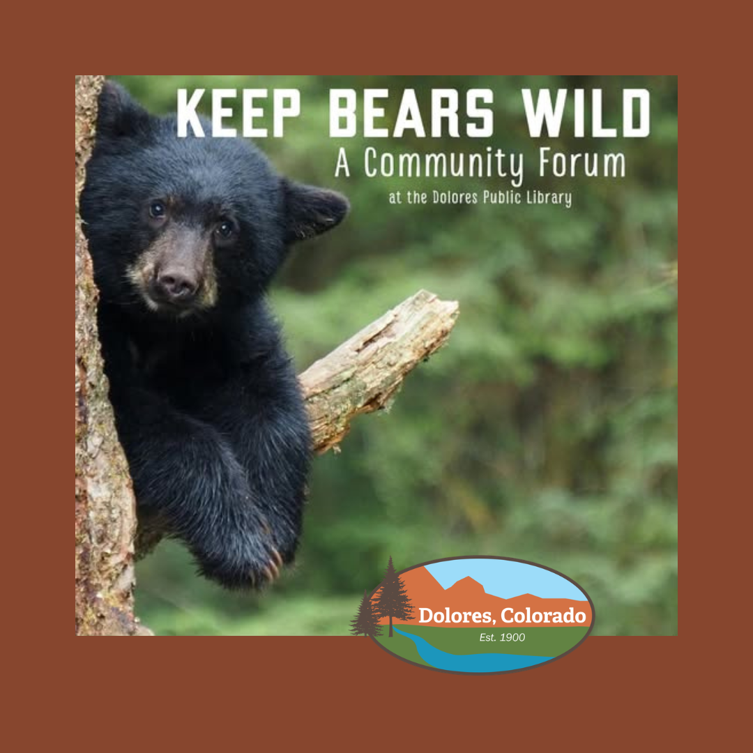 Keep Bears Wild: A Community Forum