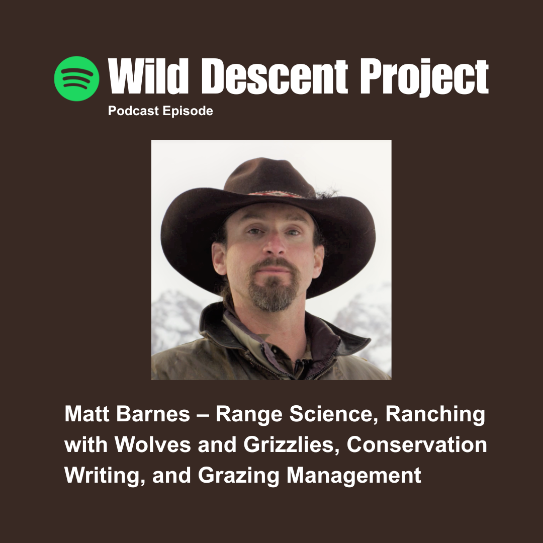 Wild Descent Project podcast episode: Matt Barnes