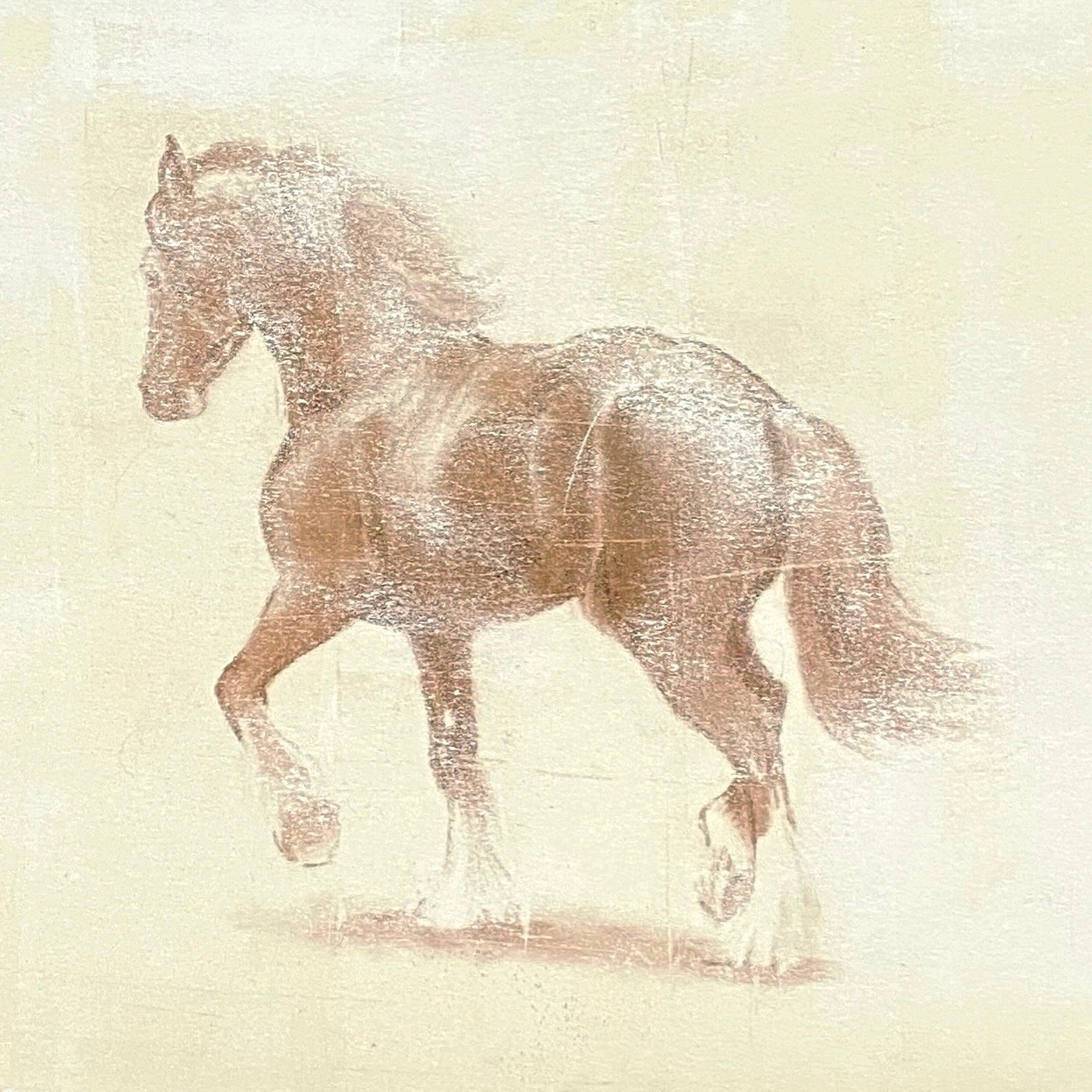 Shire Horse, 8x10” Charcoal Transfer Monotype