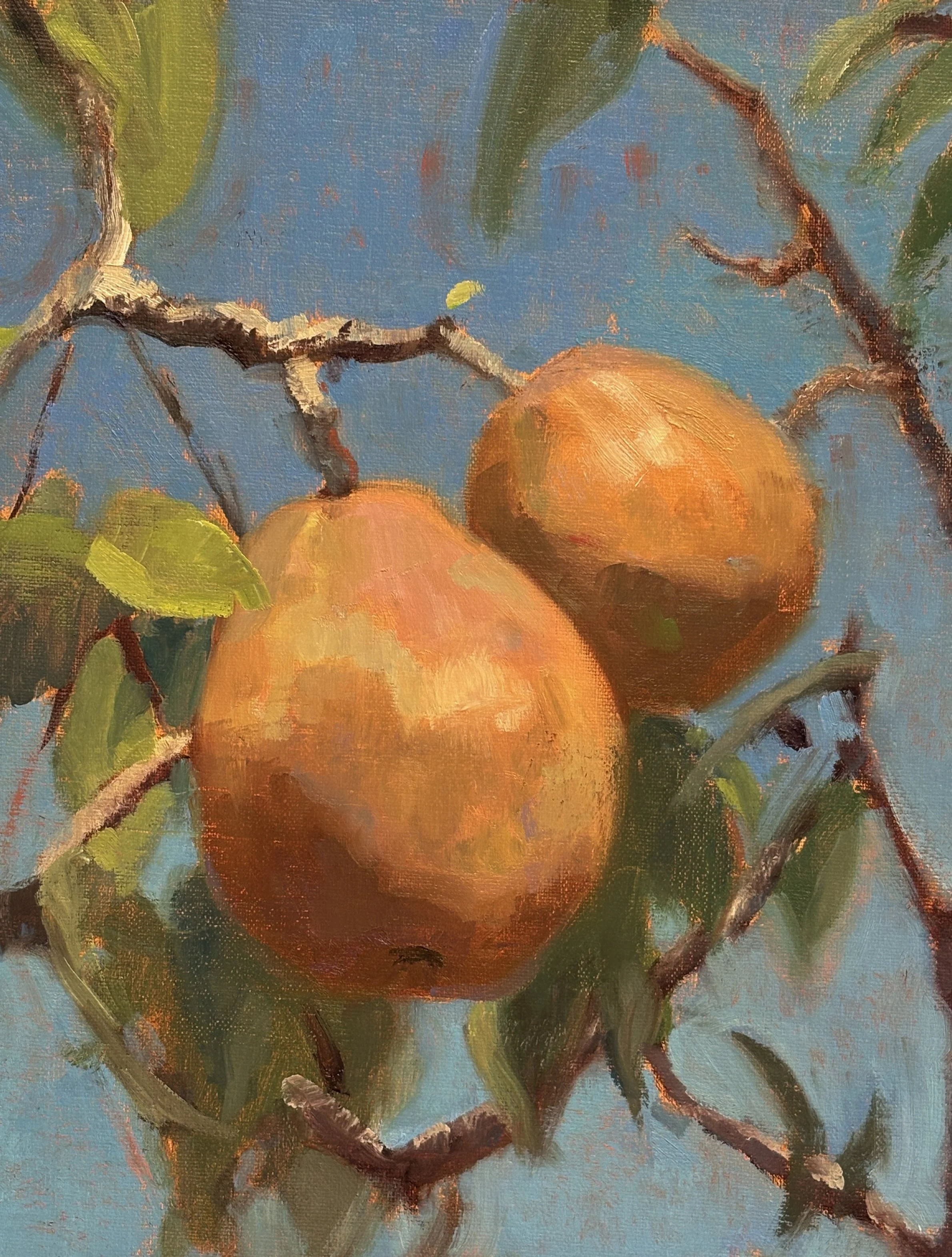 Wild Pears, 8x10 oil on panel