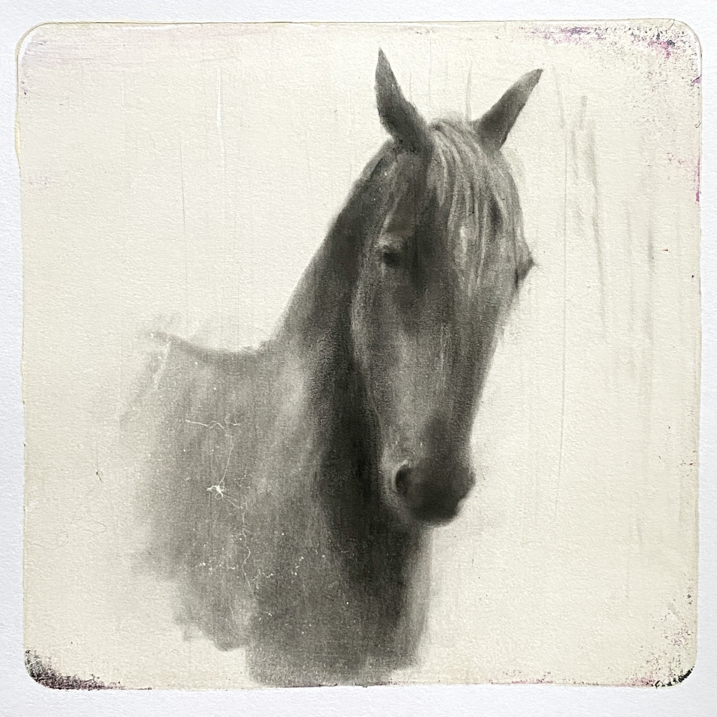 Good Boy, 6x6” Charcoal Transfer Monotype