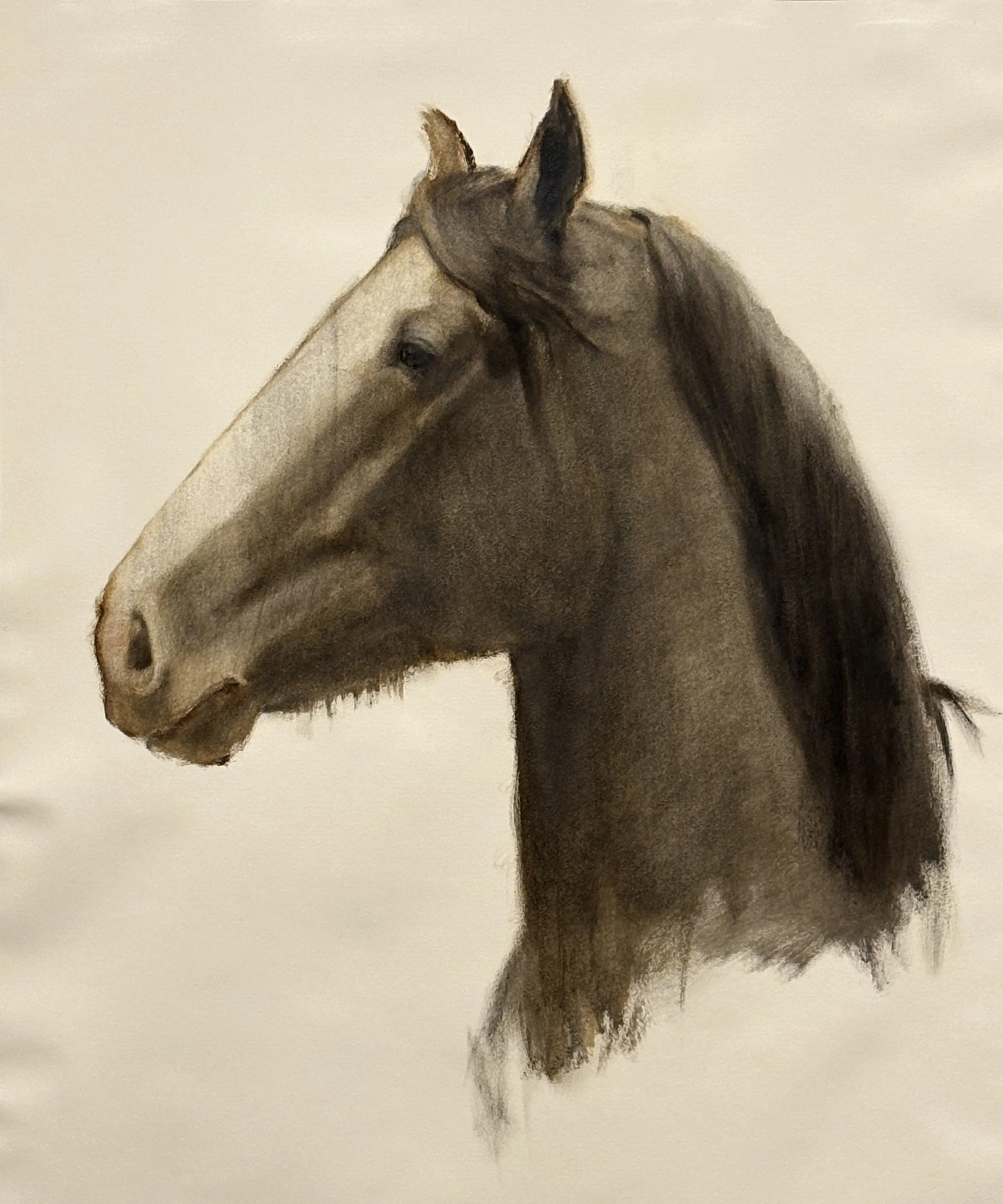 Shire Head Study, oil on paper