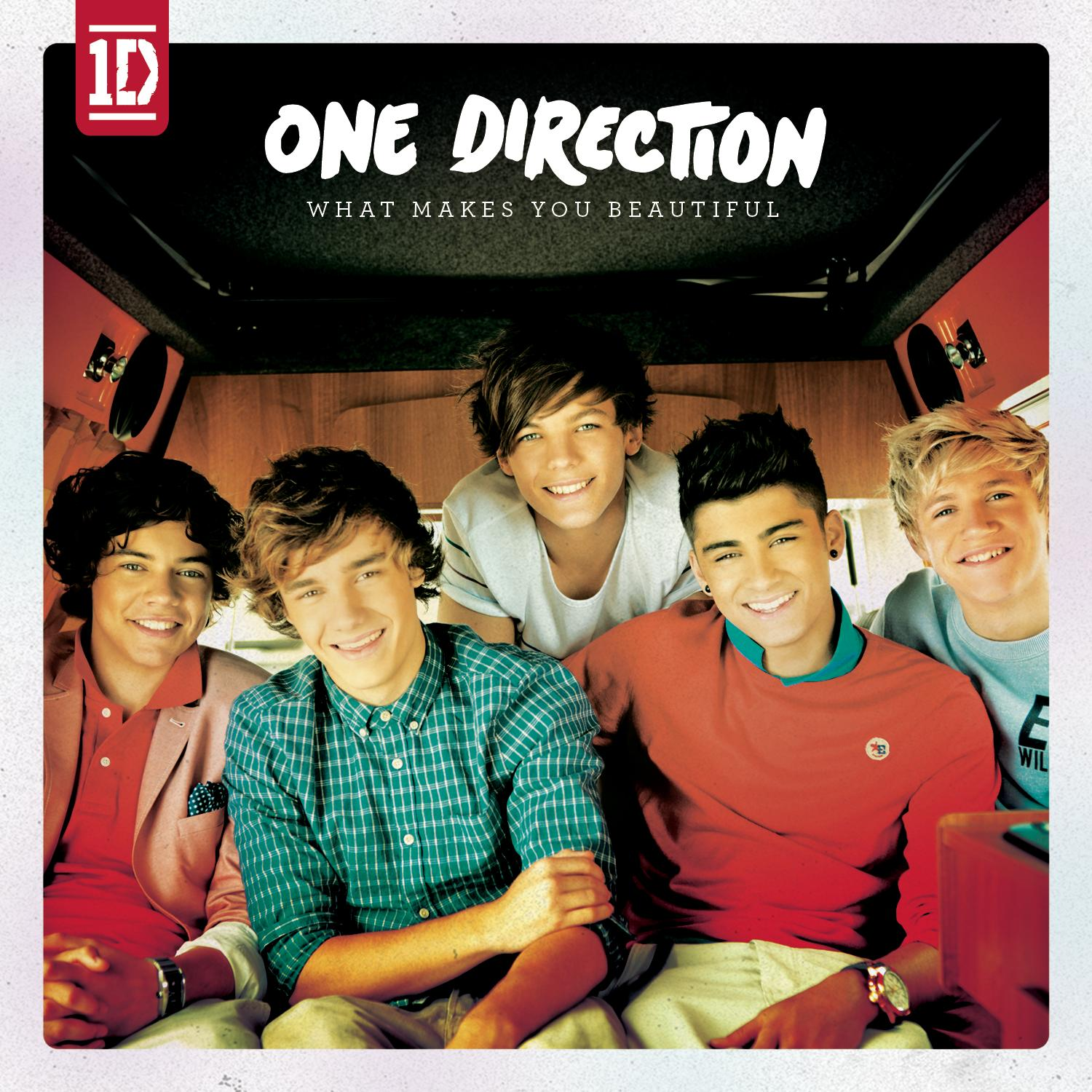 What Makes You Beautiful by One Direction