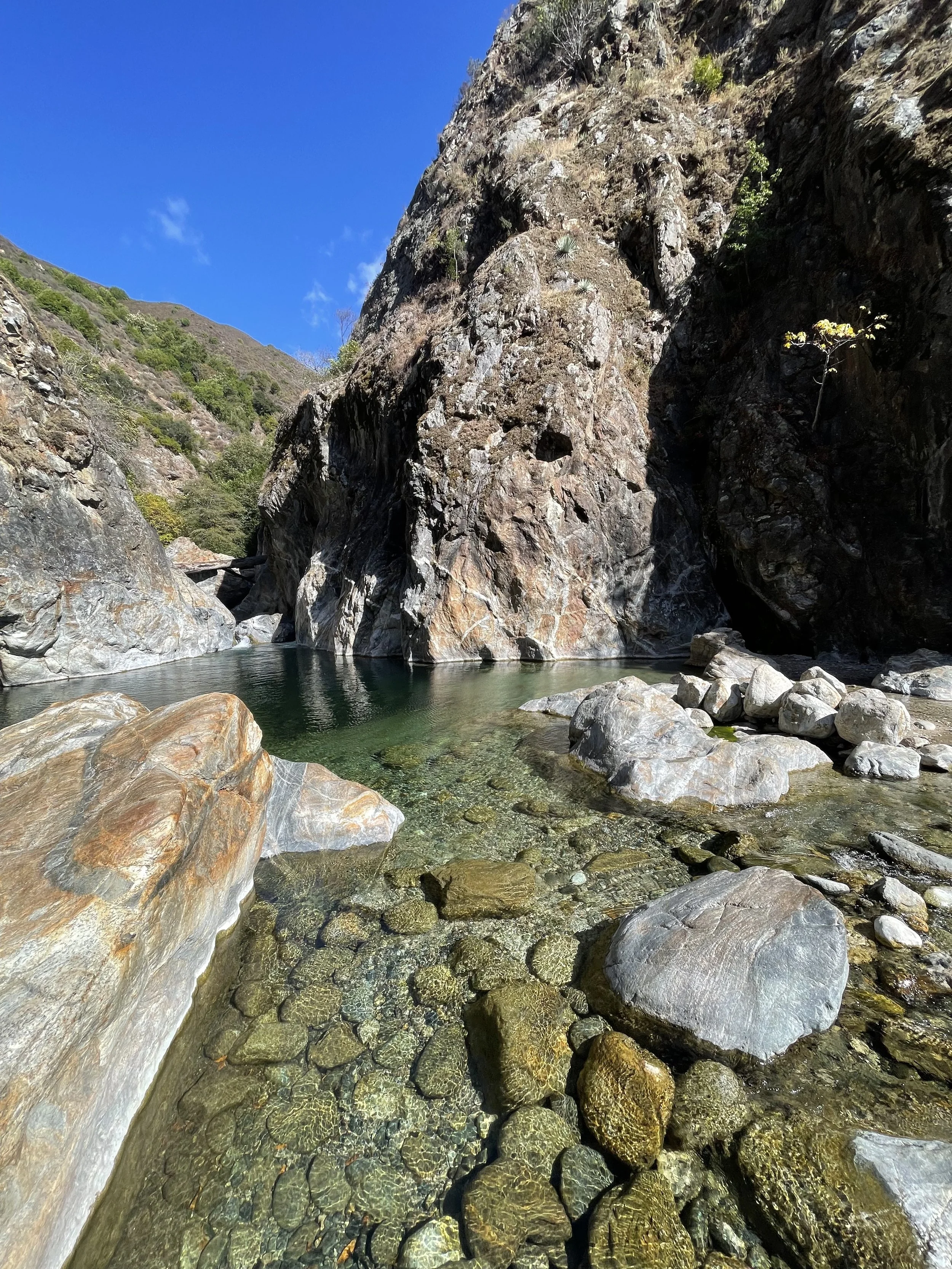 IMG_5960.jpeg