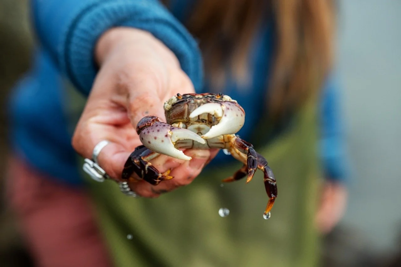 AubrieLeGault_OWB_Coast_207 Large.jpeg