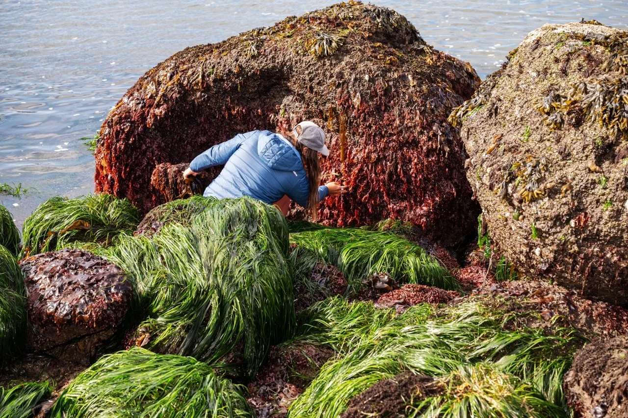 AubrieLeGault_OWB_Coast_239 Large.jpeg