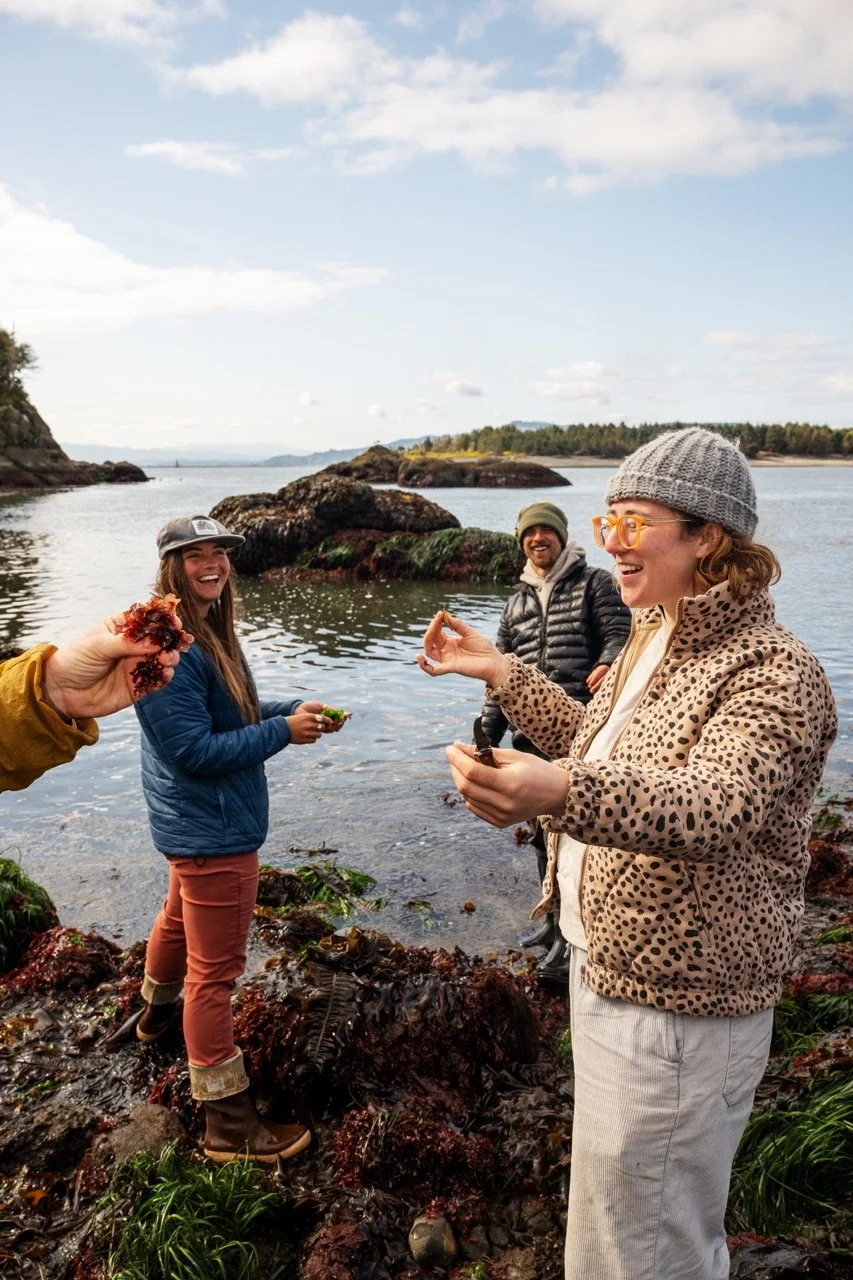 SOLD OUT: Seaweed Foraging - North Coast