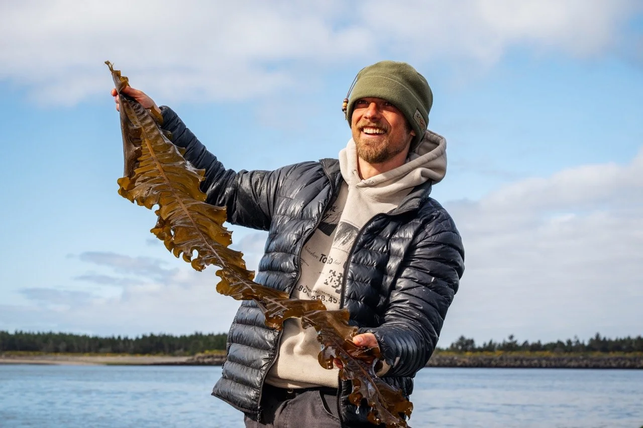 Food Industry Folks - Seaweed Foraging