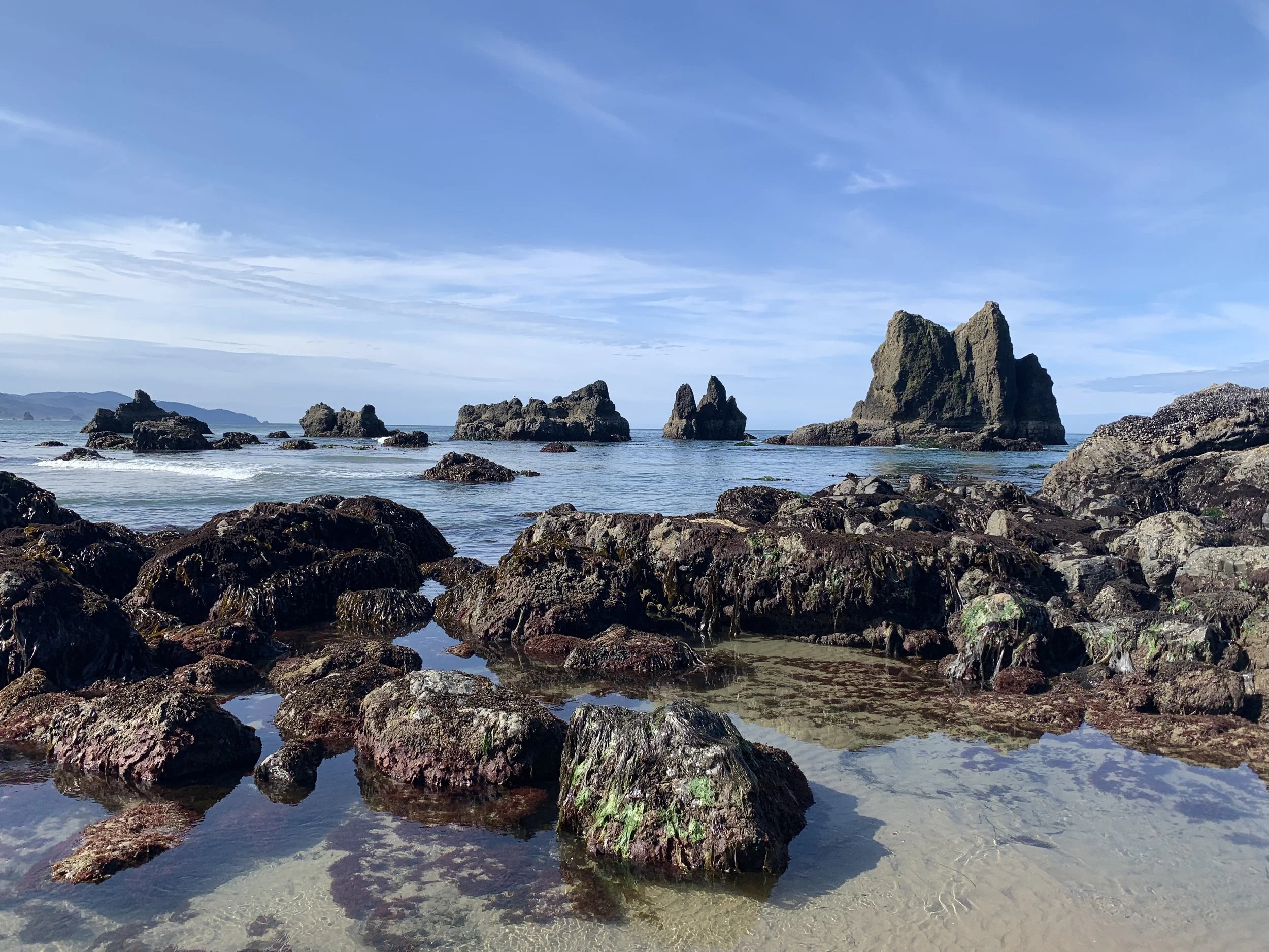 The Hidden Force Behind Oregon’s Wild Coastline