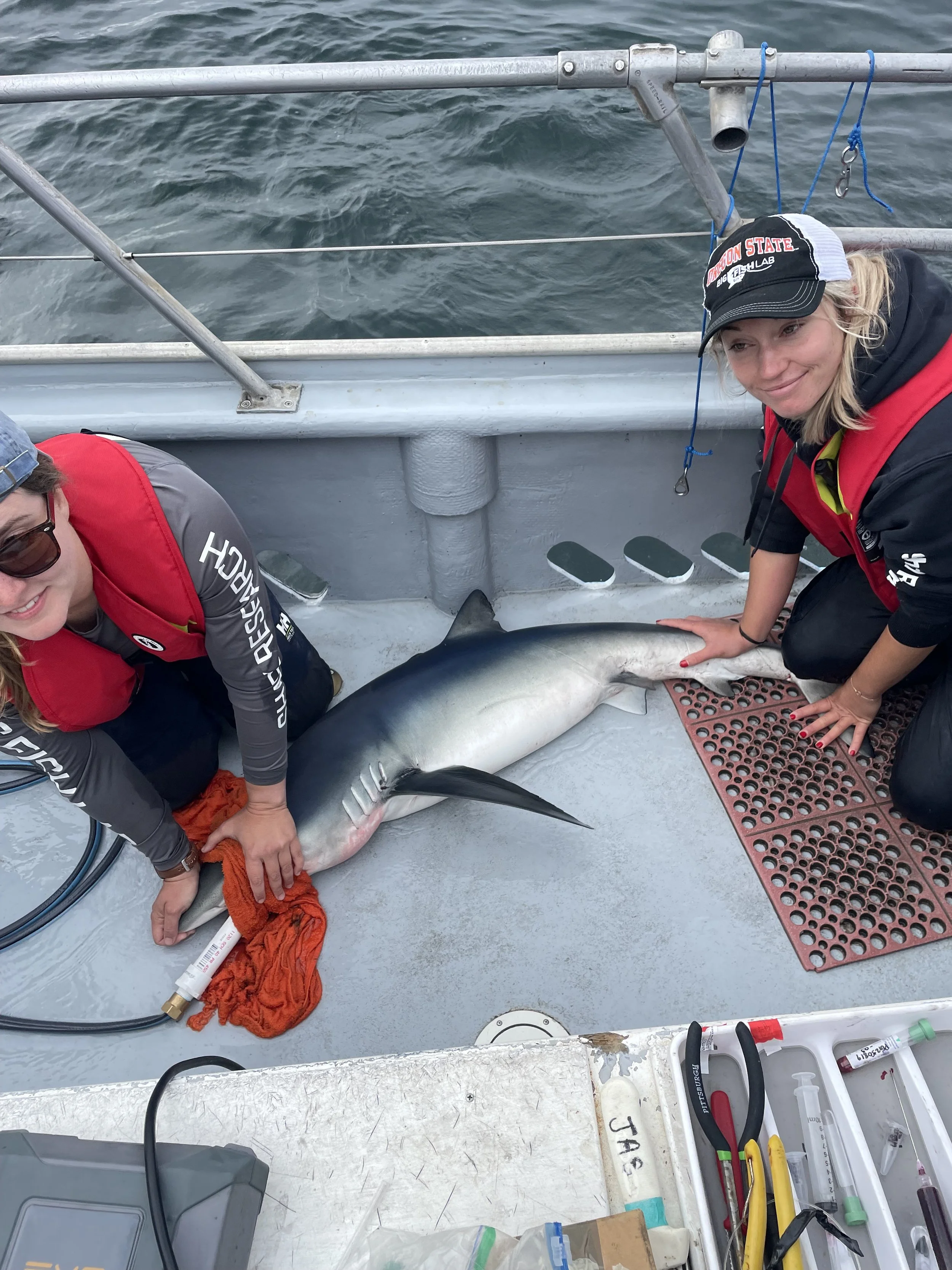 Shark Research Expedition in Garibaldi, OR.