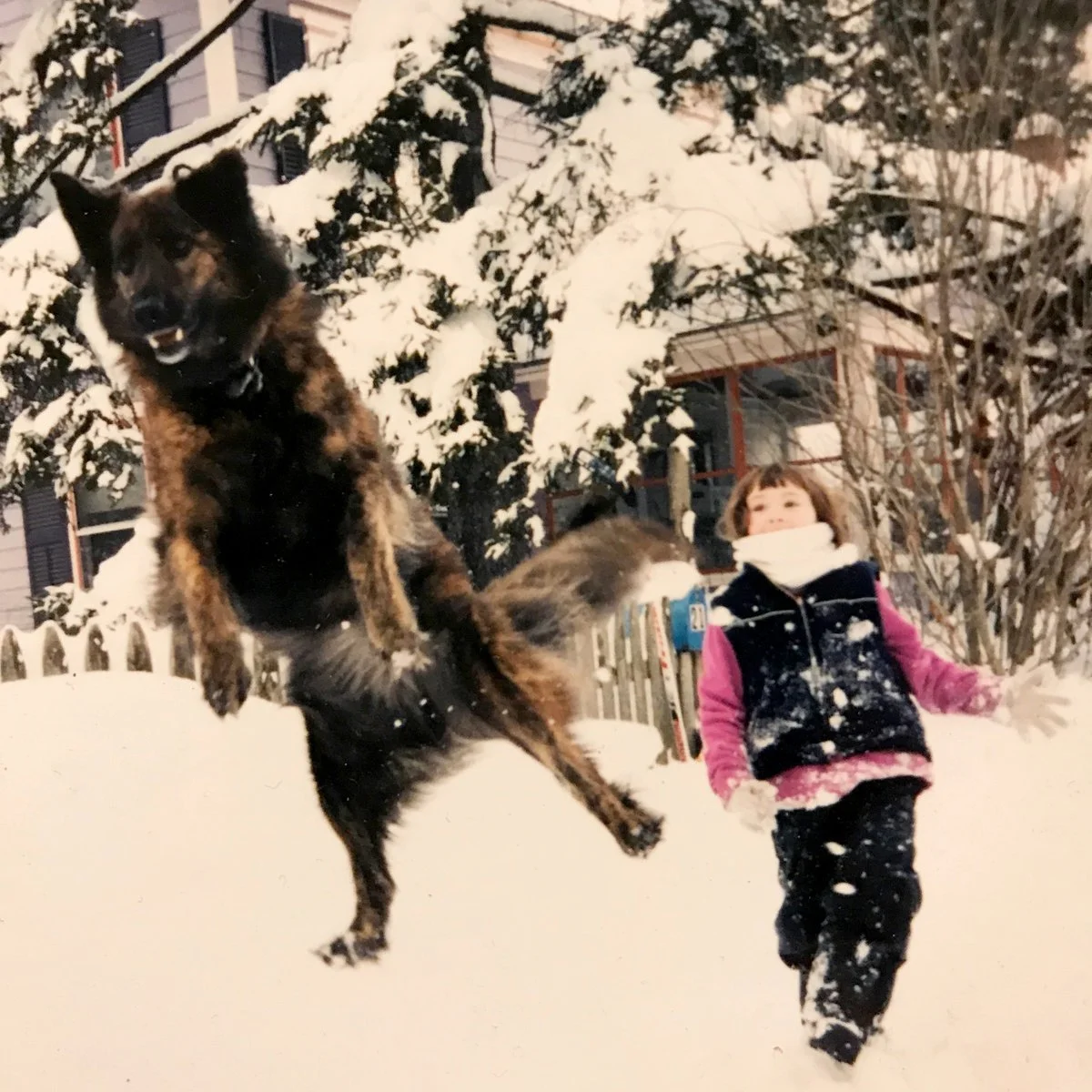 Crown Jewel - Reservoir [Engineer]