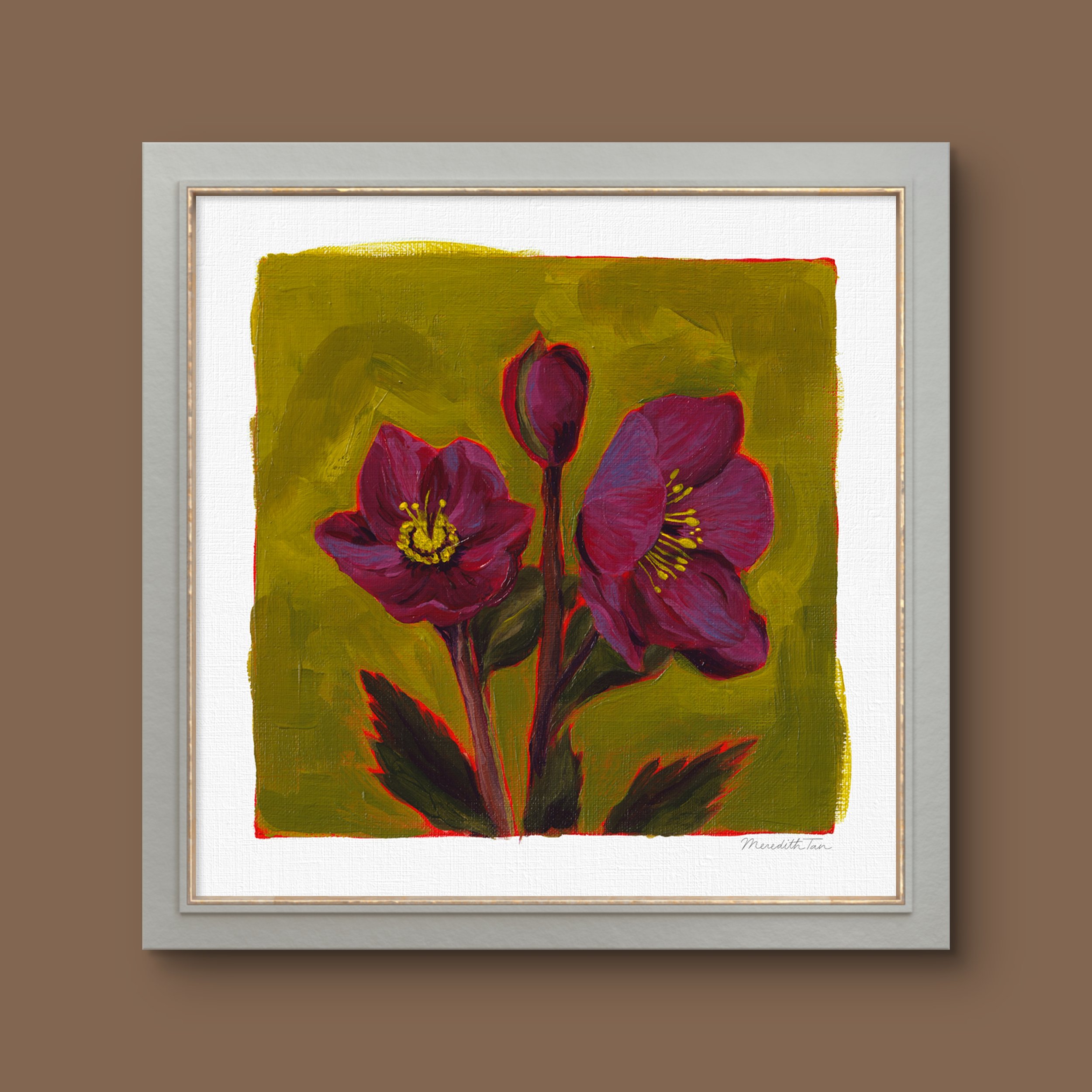 Hellebore_Study_No.1_2.JPG
