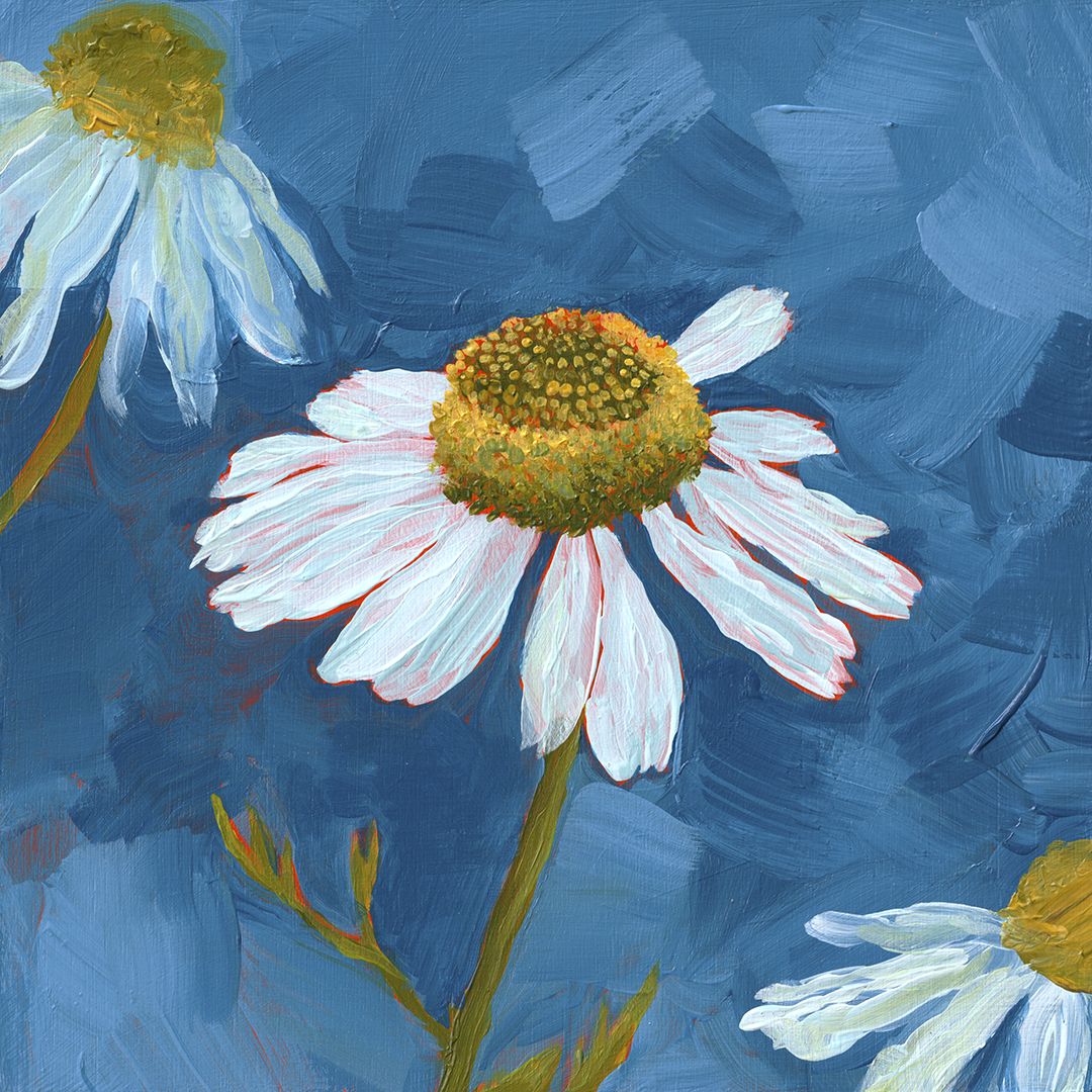 Gentle Healing 6x6" - Original Painting
