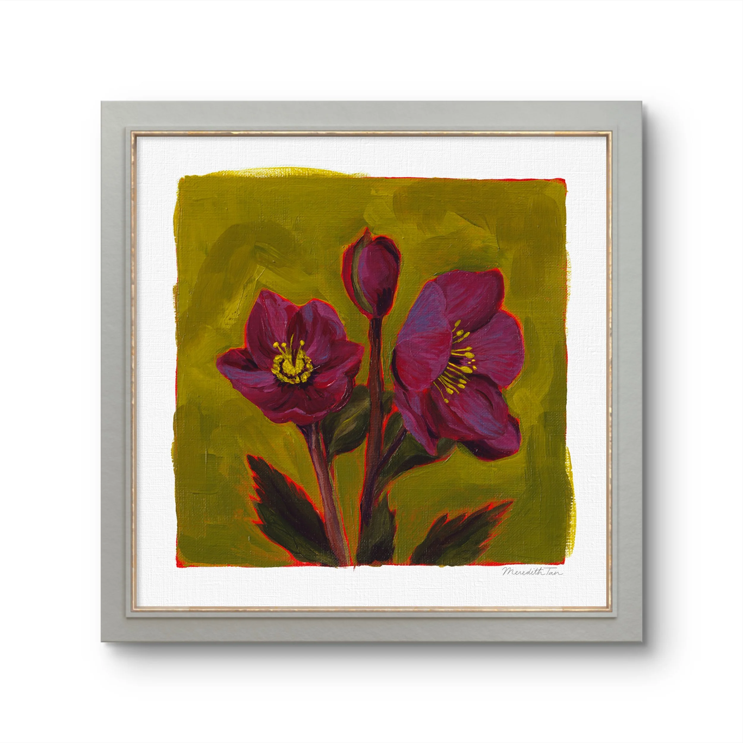 Hellebore_Study_No.1_1.JPG