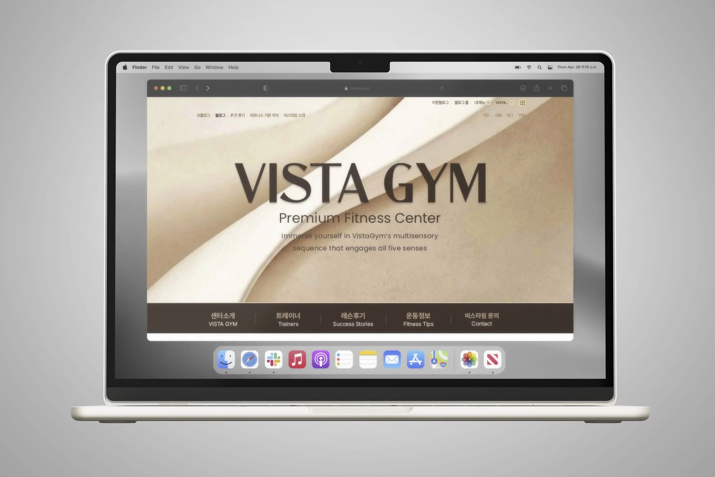 Blog Vista Gym.jpg