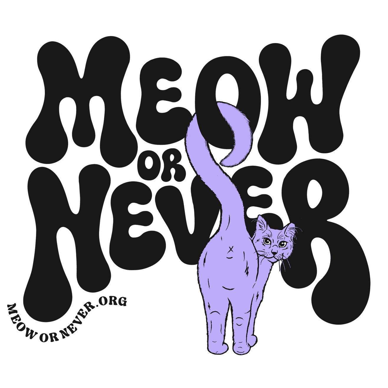 Meow or Never