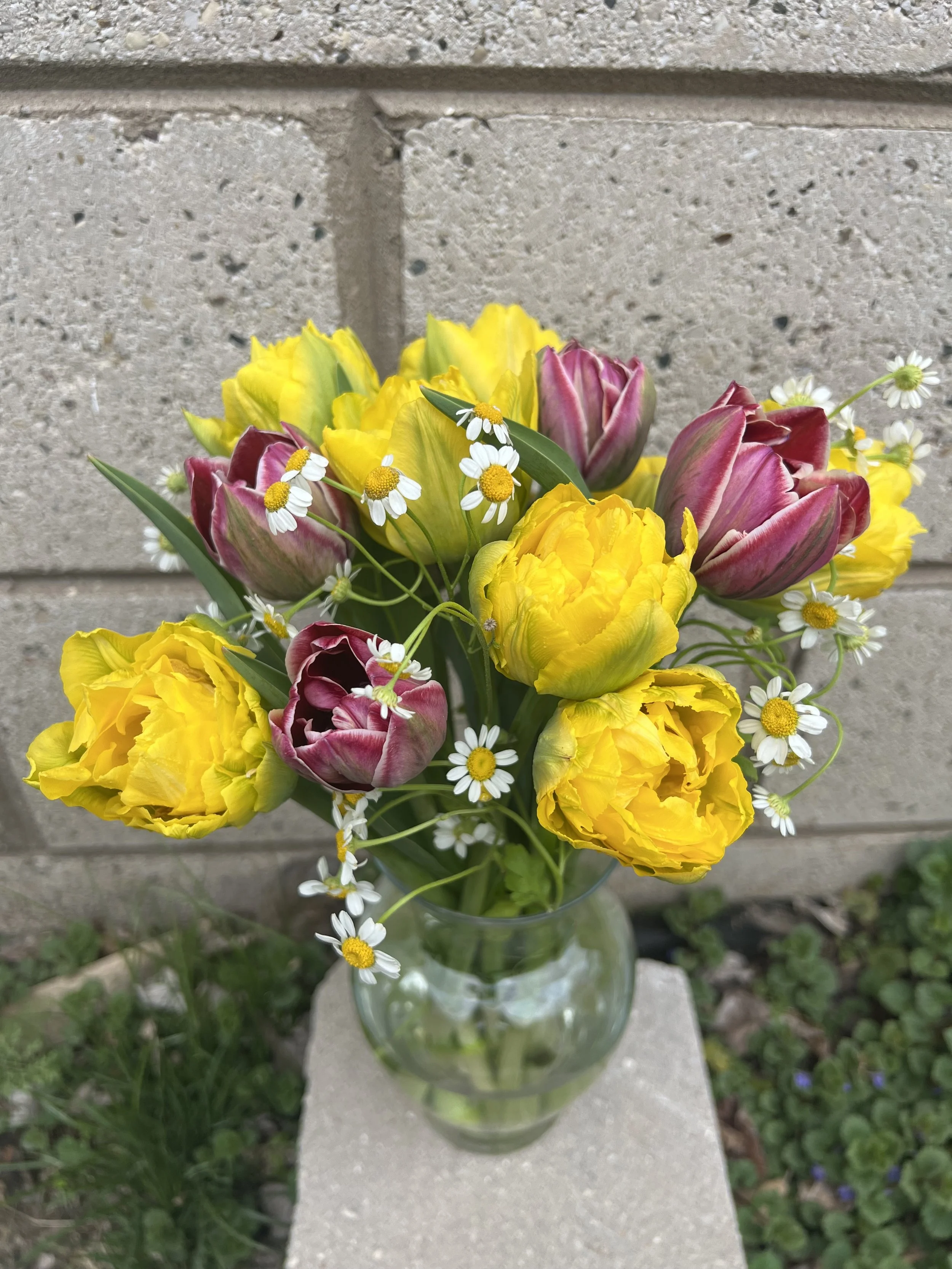 Mother's Day Tulip Bouquet