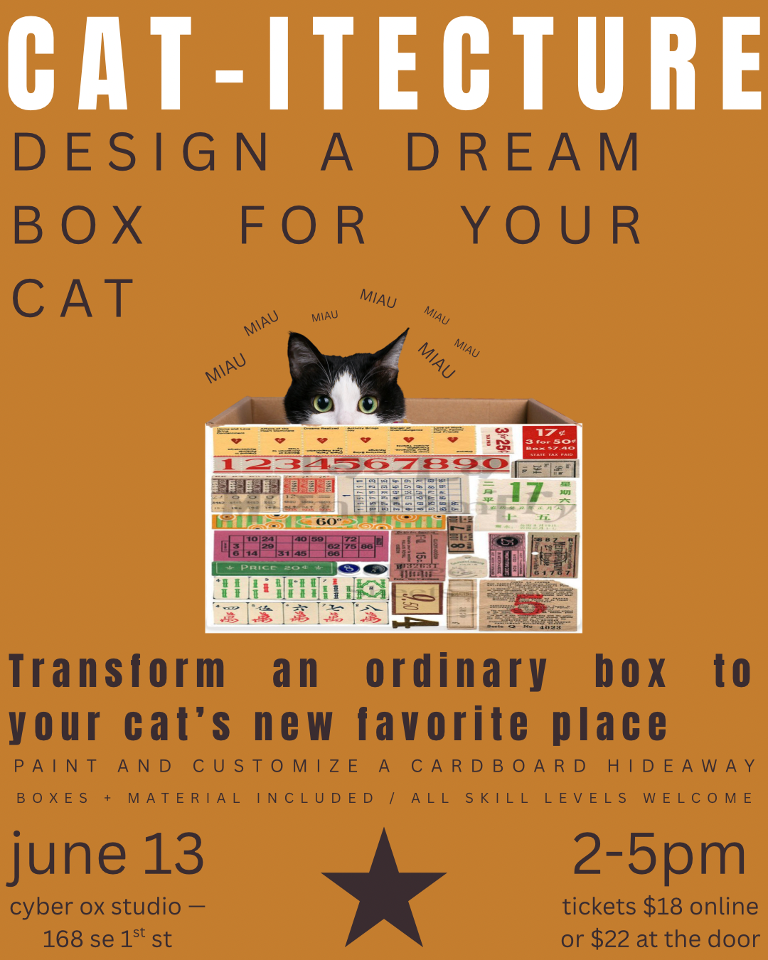 CAT DREAM BOX WORKSHOP