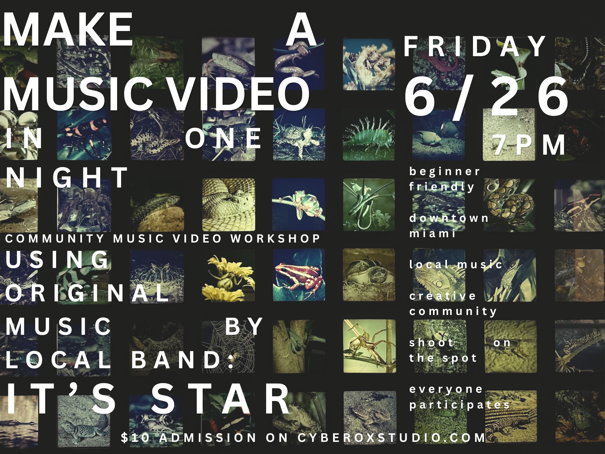 COLLABORATE MUSIC VIDEO NIGHT