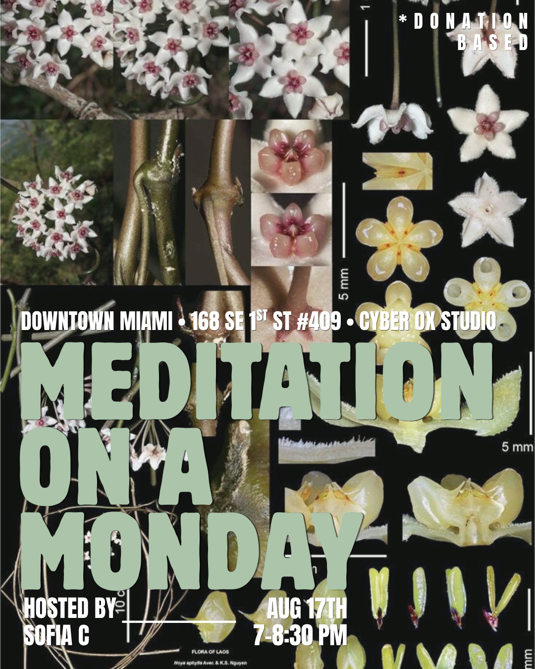 DONATION BASED MEDITATION