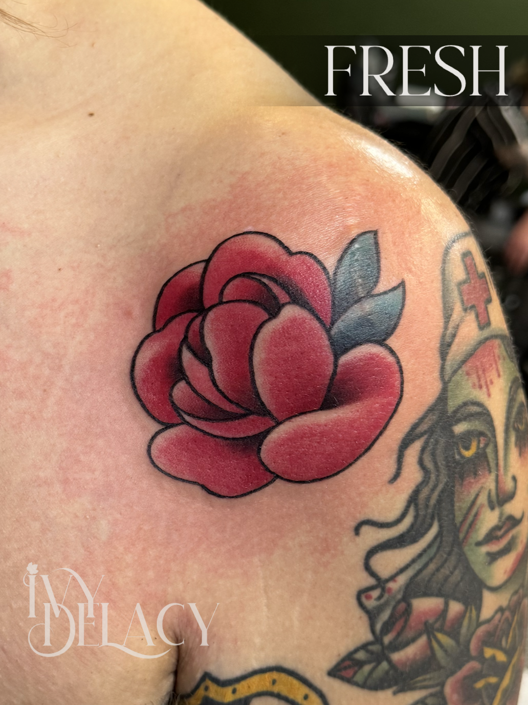 Traditional Rose Flash