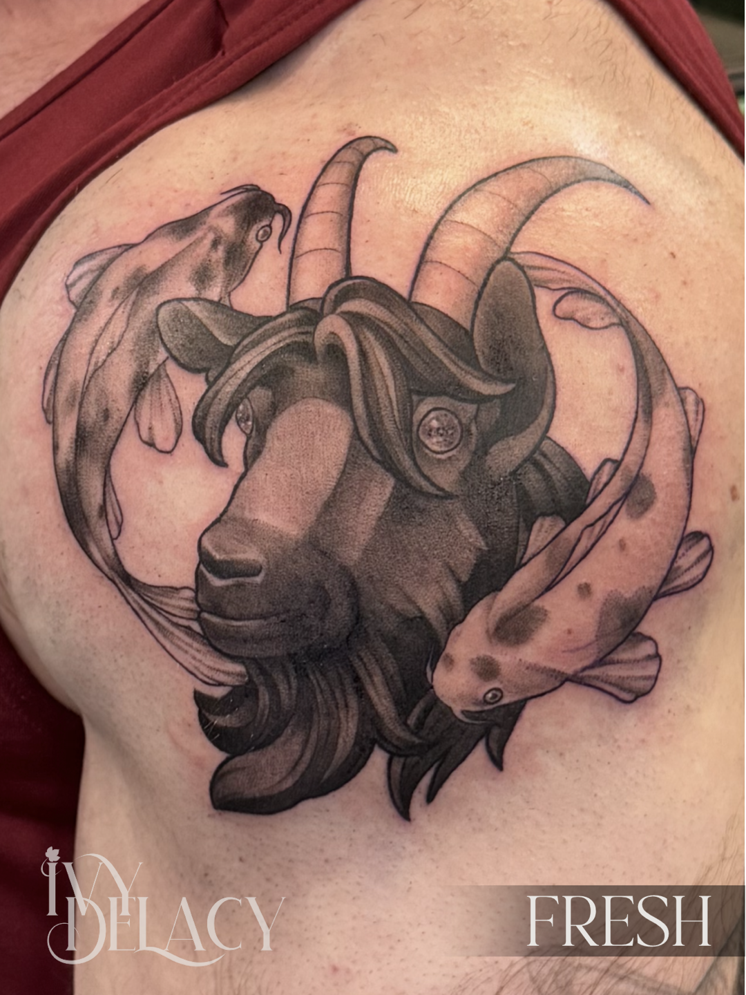 Capricorn &amp; Pisces