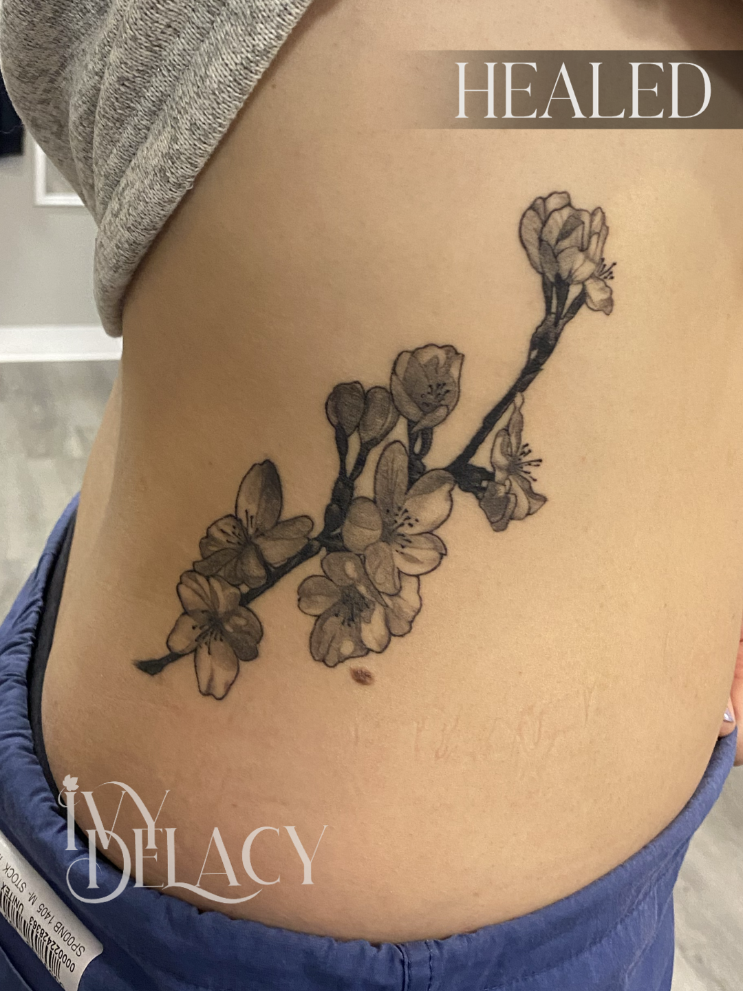 Cherry Blossom Branch