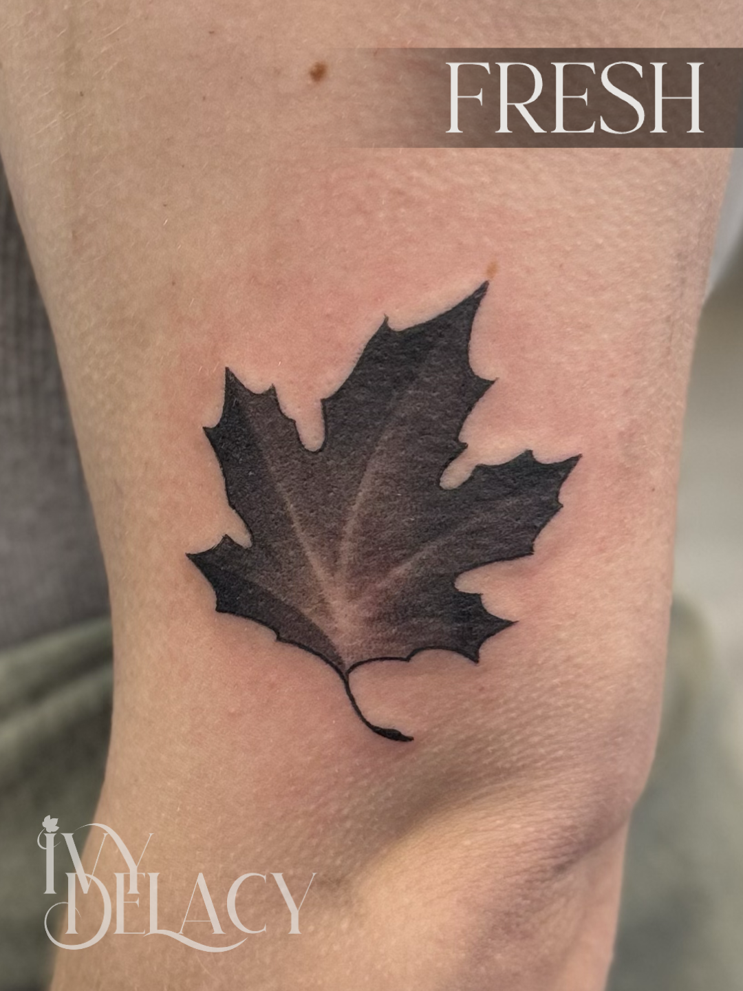 Maple Leaf Flash