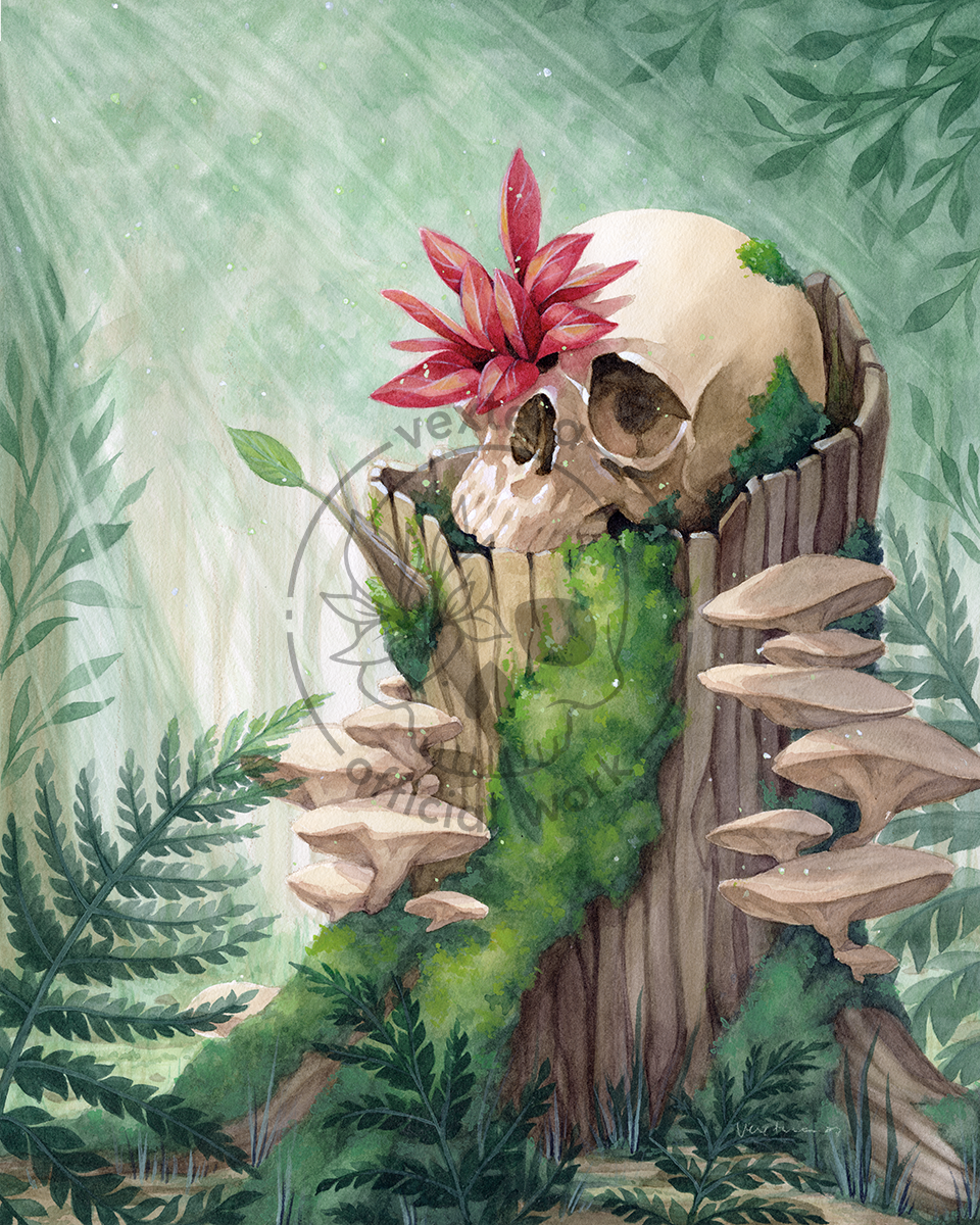 VEXTERA BYB Watermarked for Web.png