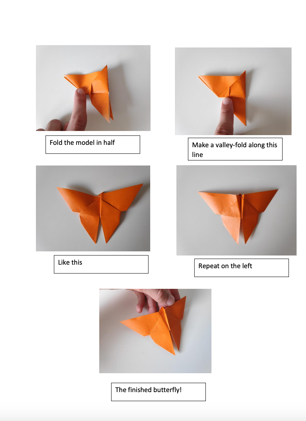 Origami butterfly lesson step 3