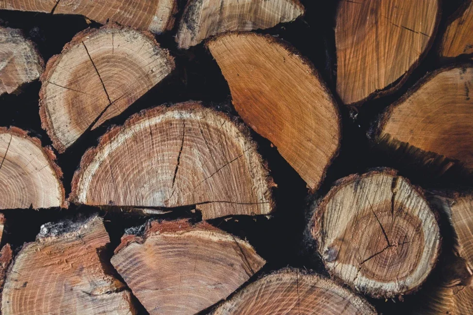 Why Cheap Firewood Can Cost You More?