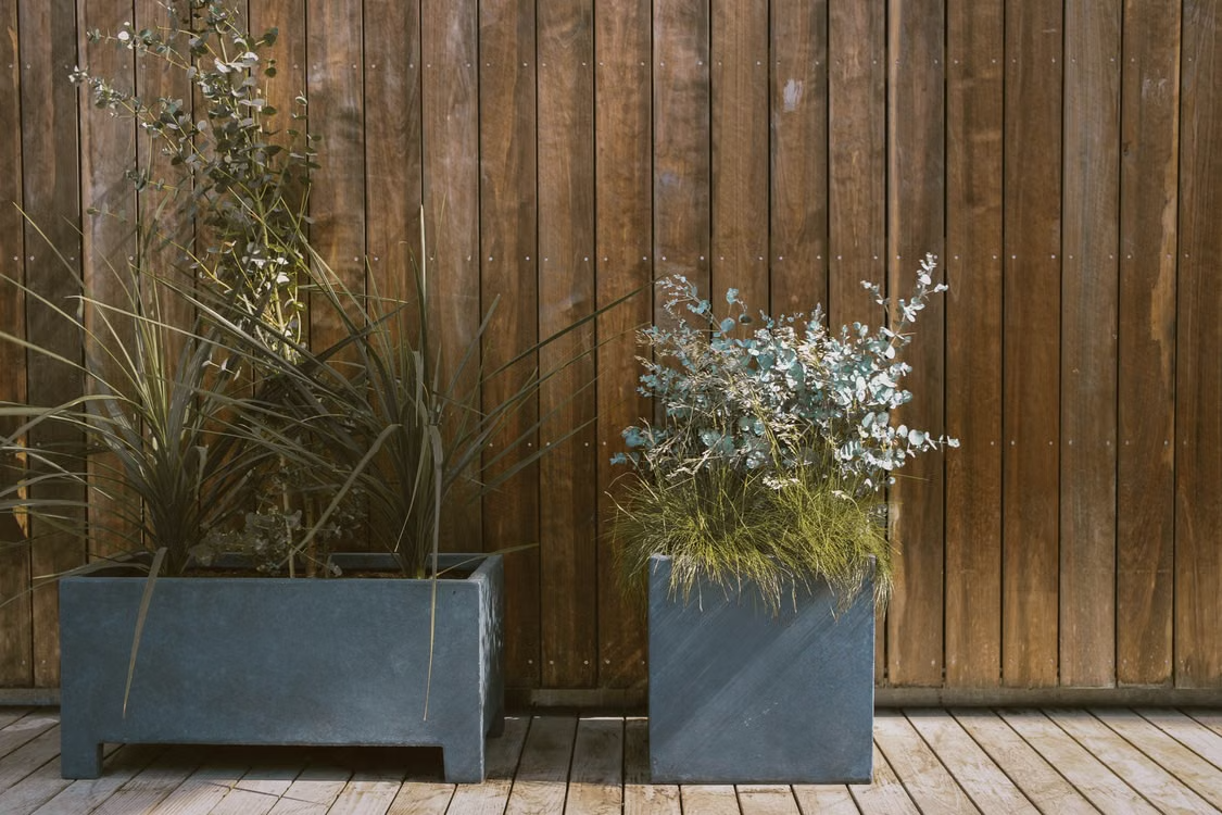 From Greenery To Grandeur: Styling With Tree Planters