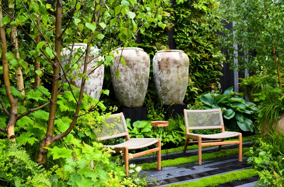 How to Create a Lush Shade Garden With Ferns and Companion Plants