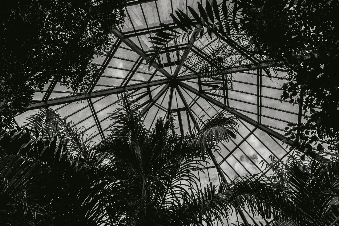 Conservatory Design Ideas for All-Year Comfort