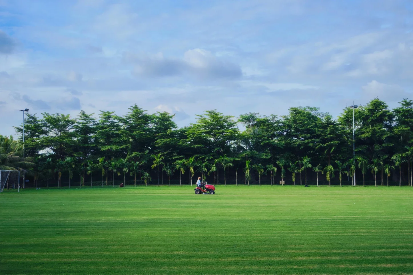 Why Branding Matters For Landscape Businesses In Competitive Areas