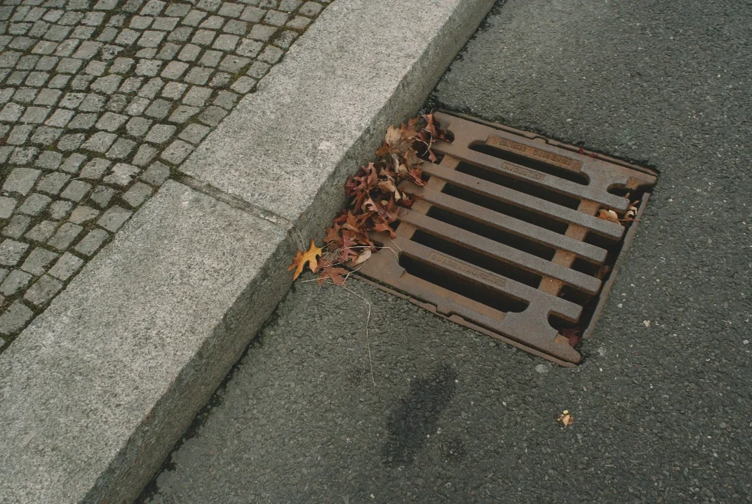 Eco-Friendly Ways to Keep Your Sewer Line Flowing Smoothly
