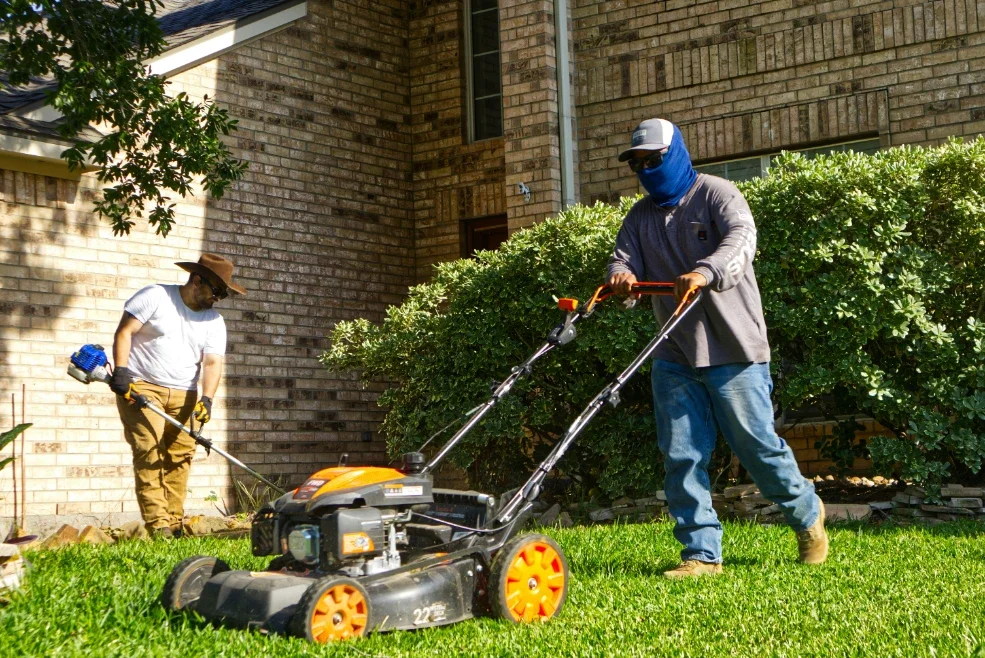 Seasonal Lawn Care Myths That Are Quietly Killing Your Grass