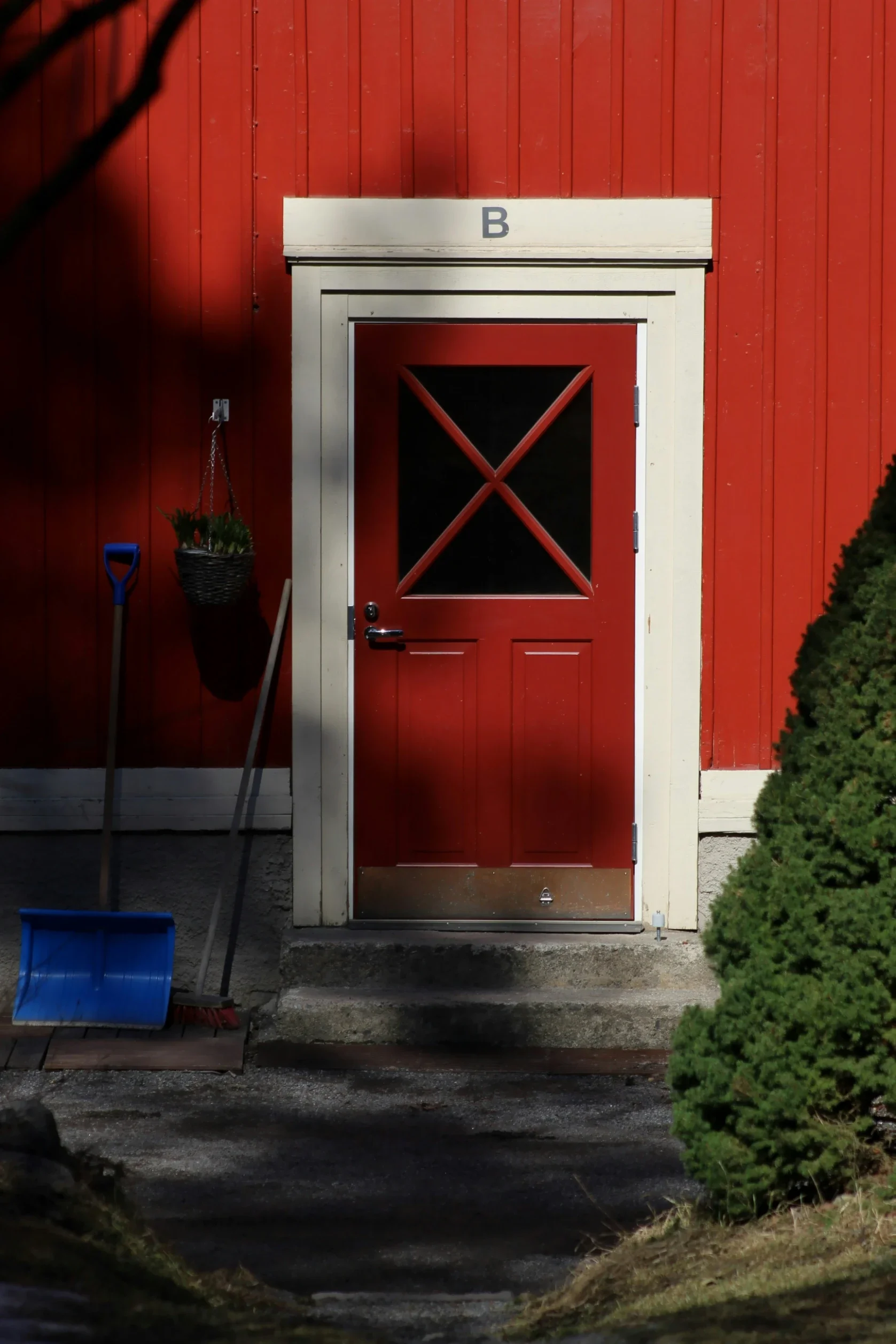 Why 8Ft Exterior Doors Mississauga Are Emerging as the New Standard Recently