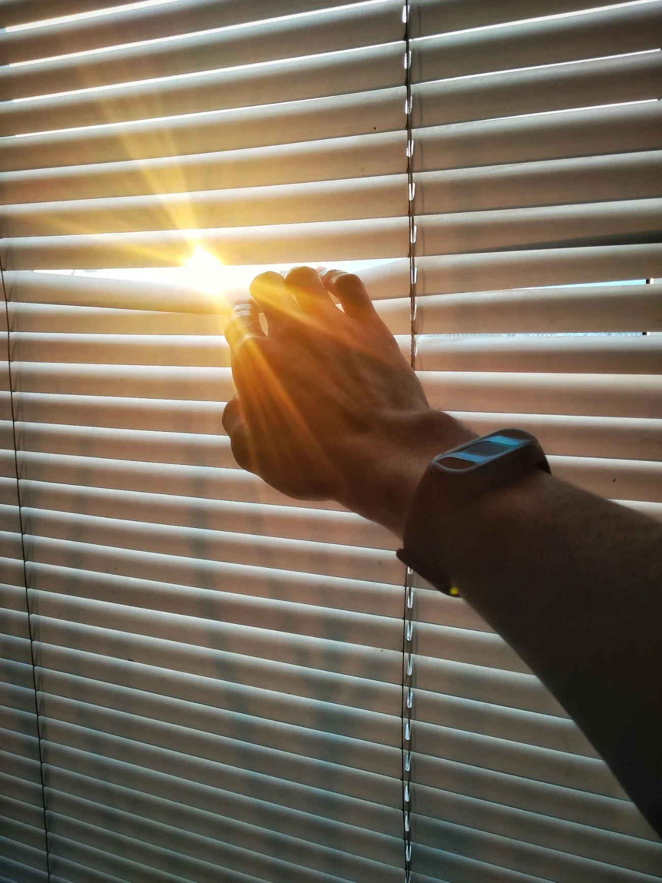 Luxury Window Blinds: Merging Privacy With Style