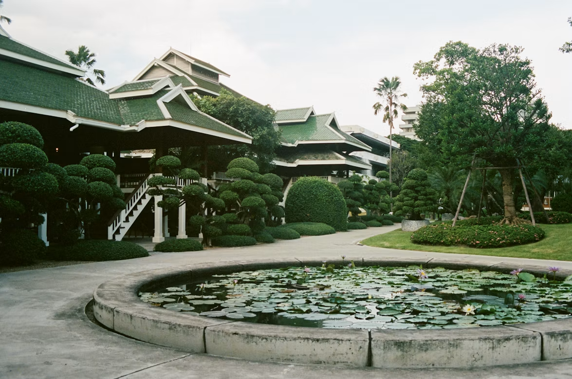 How to Design the Perfect Pond for Your Landscape