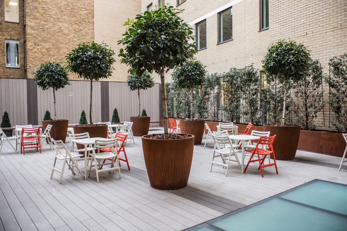 From Greenery To Grandeur: Styling With Tree Planters