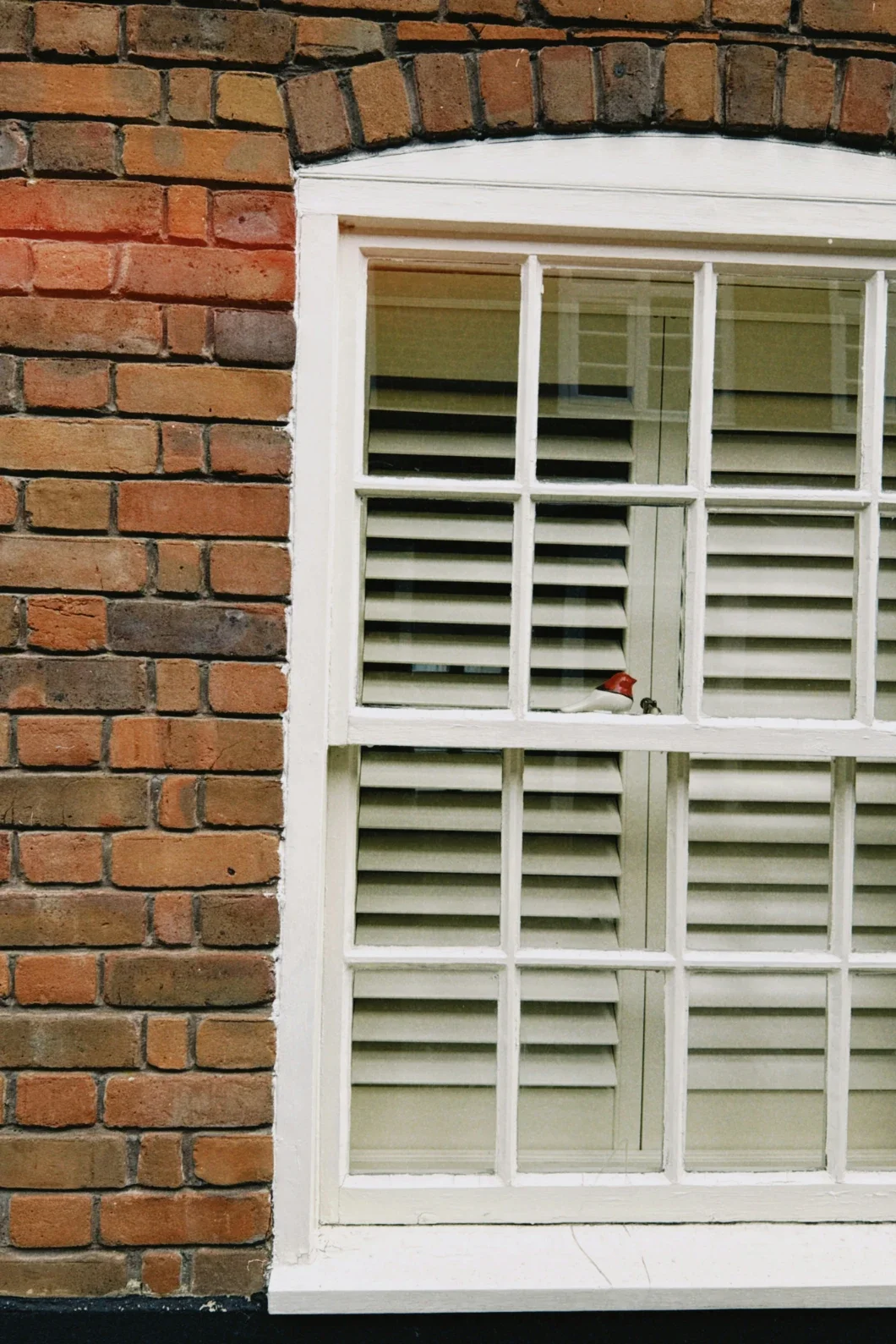 Function Before Finish: Small Window and Door Problems That Disrupt a Renovation