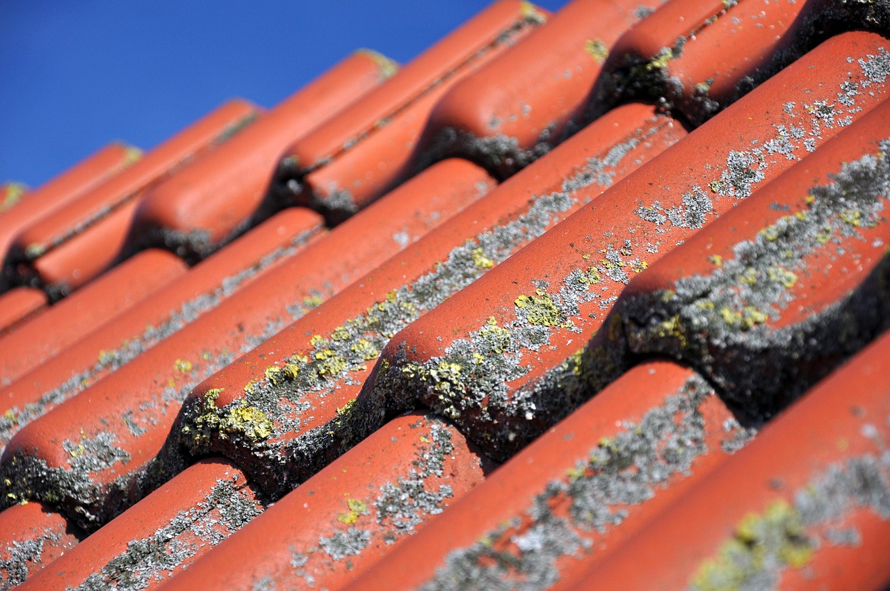 The Technical Evolution of Exterior Maintenance: Preserving Southwest Florida’s Coastal Architecture