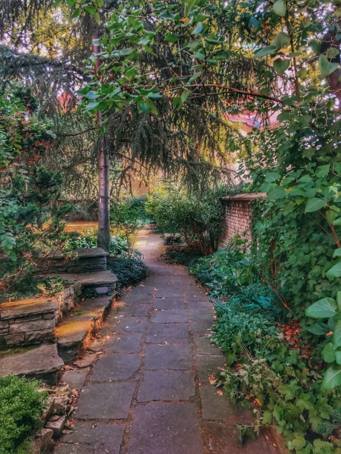 The Messy Magic of Home: Why Imperfection Makes Gardens Feel Alive?