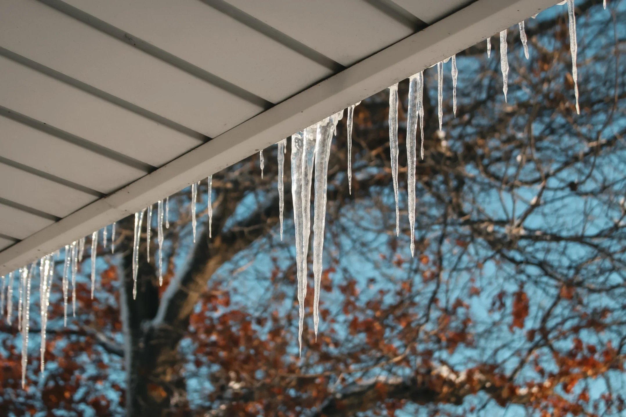 Winter Roof Maintenance Tips Every Homeowner Should Know