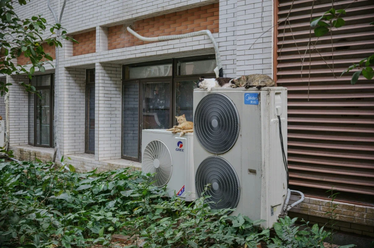 Central Heating Pumps: A Practical Guide