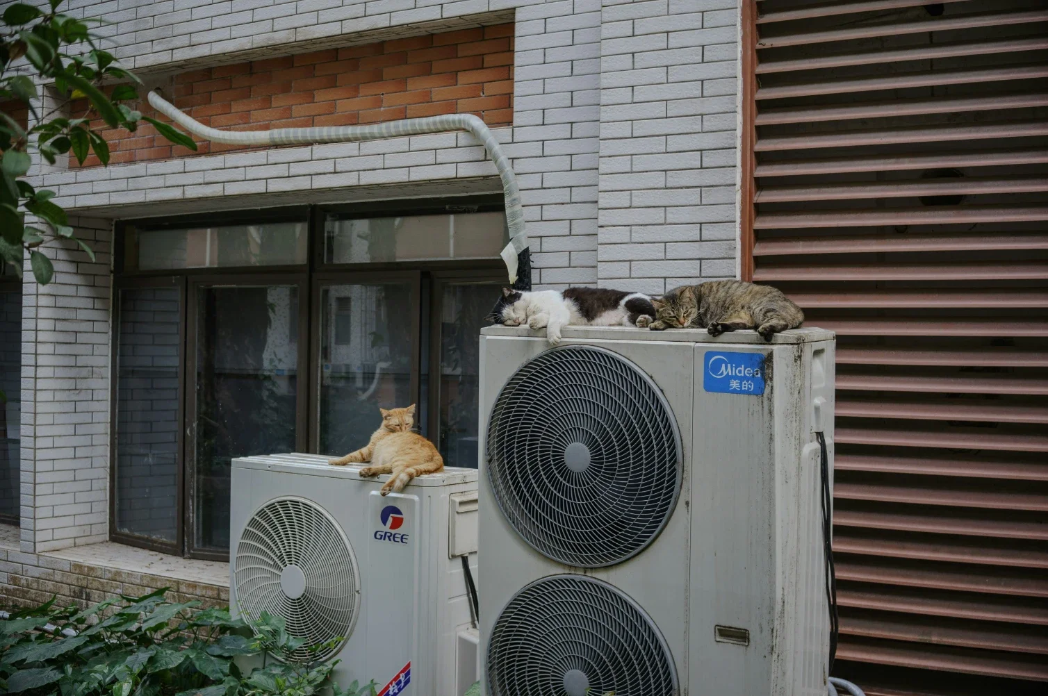 Cost to Install a Heat Pump in Seattle, WA in 2026
