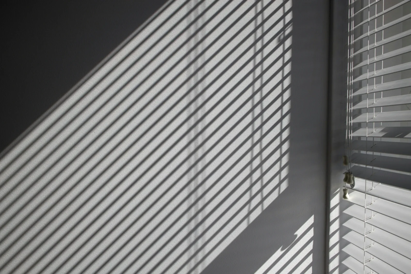Luxury Window Blinds: Merging Privacy With Style