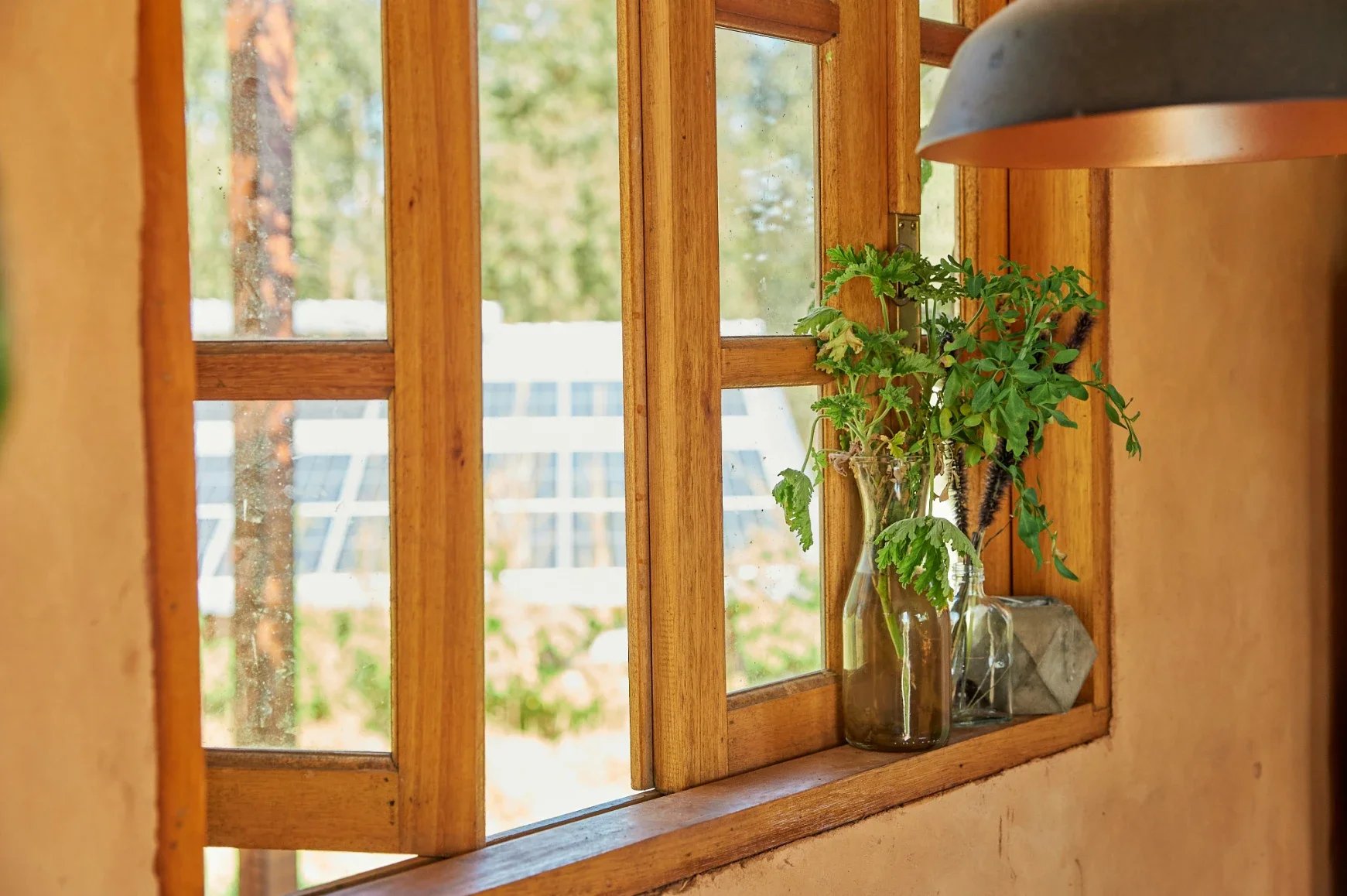 Window Cleaning Tips for Property Owners in Memphis, TN 